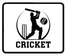 cricket items
